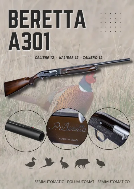 Beretta A301